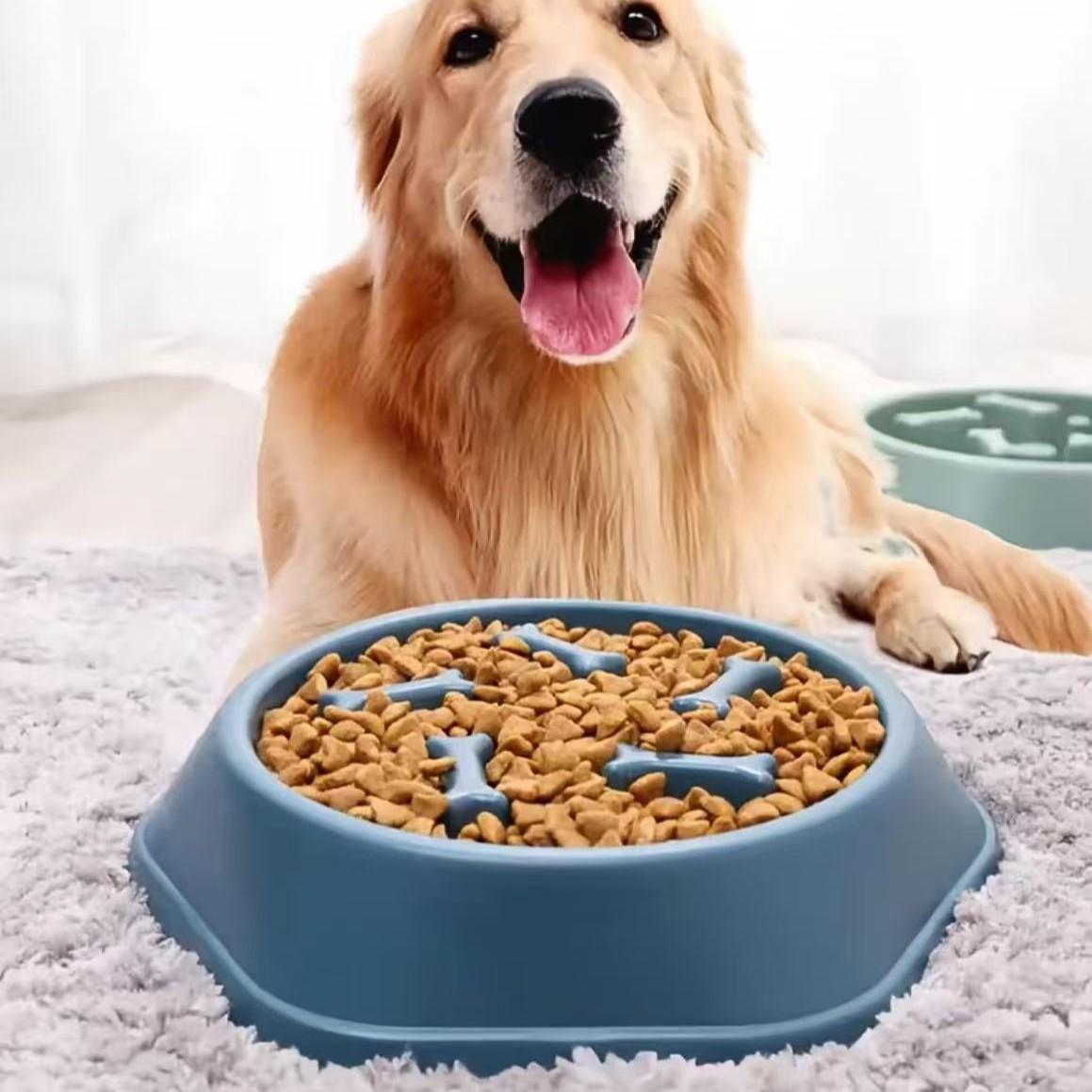 Slow Feeder Dog Bowl - インタラクティブスローフィーダーボウル窒息防止ペットフードボウルゆっくり食べるデザインで胃拡張を防ぐ犬猫用