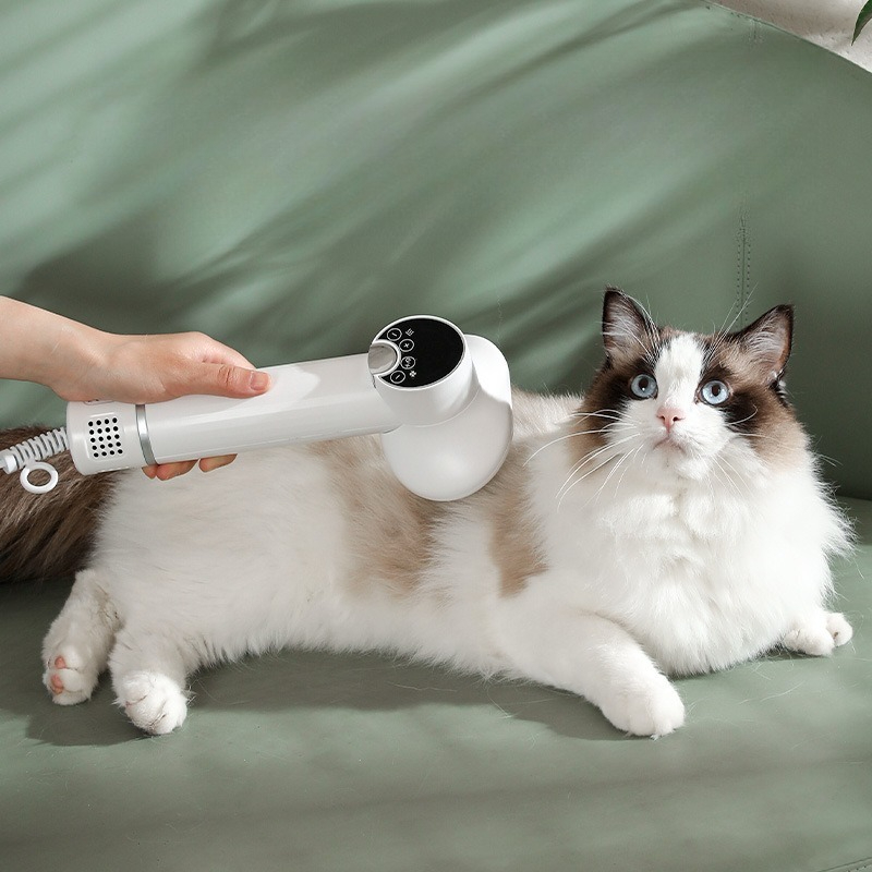 Pet Supplies And More - ペットスマート電気ドライヤー機プロフェッショナルペットヘアドライヤー犬猫ホットコールド風乾燥機犬用品ペット製品