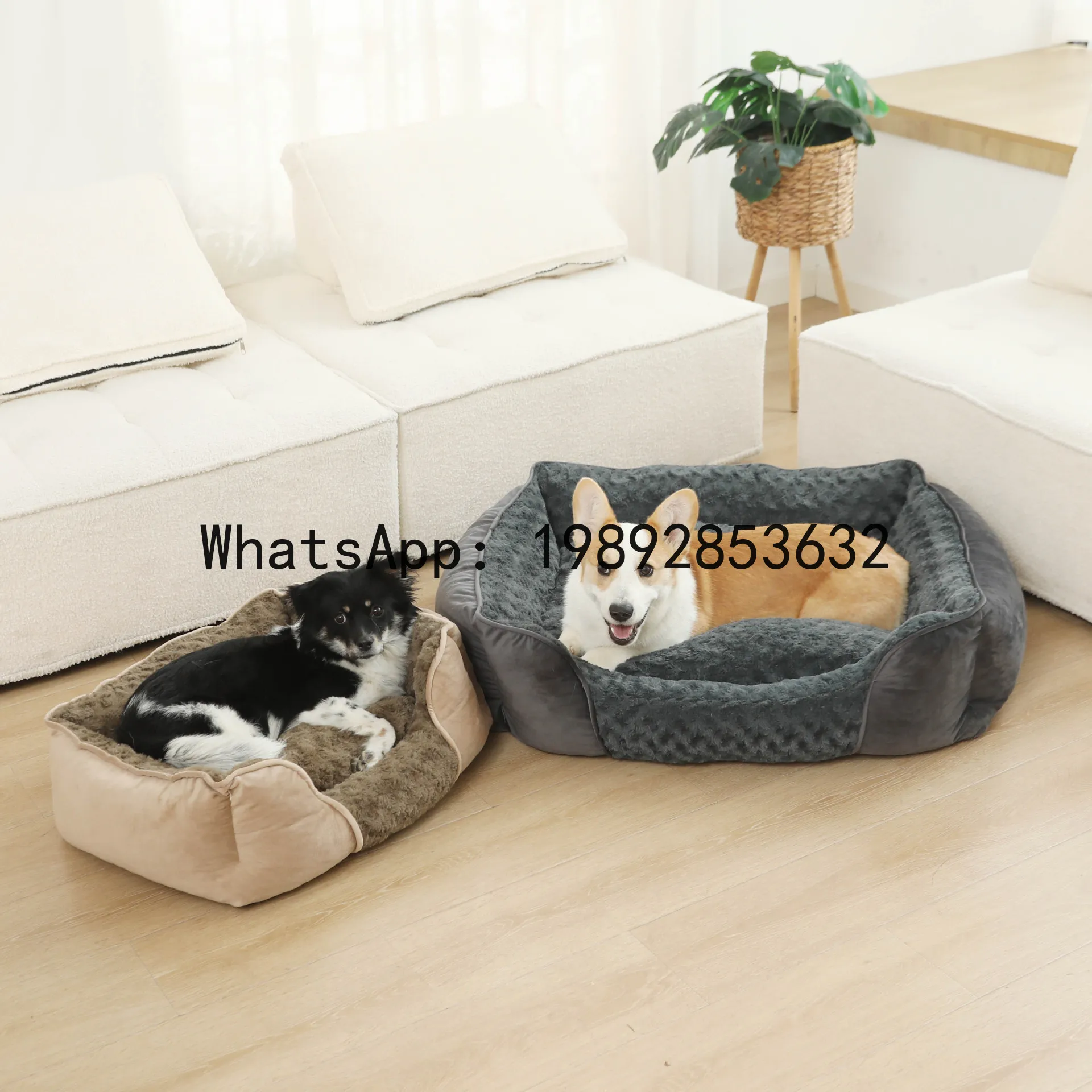 Pet X Supplies & Tack Photos - Xキャットハウス半密閉型犬小屋オールシーズンペット用品