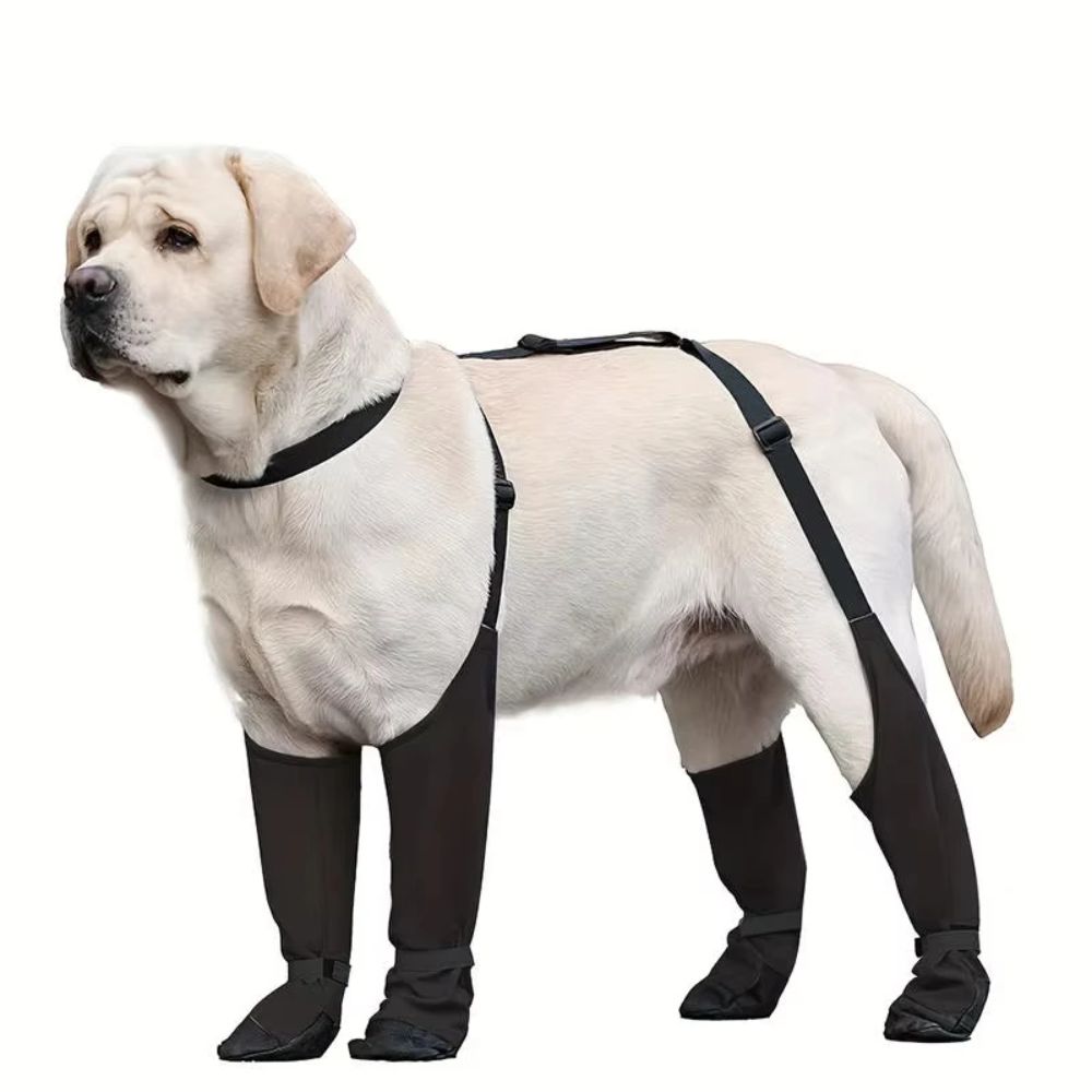 落下防止防水犬用シューズ、調節可能な滑り止めペットの足保護具 - Dog Booties Paw Protector のレビューと価格