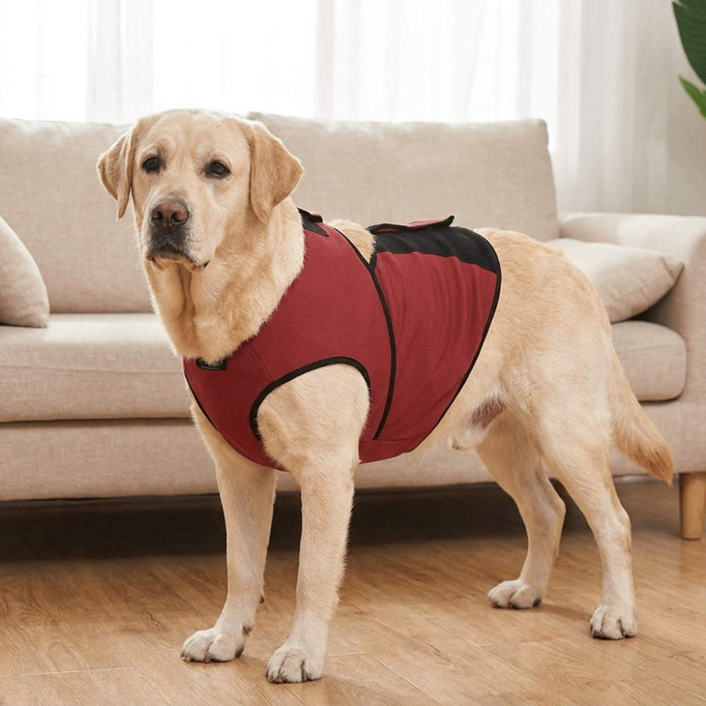 実用的な通気性のある犬用鎮静ベスト、調節可能なソフトな犬用不 - Dog Anxiety Vest のレビューと価格