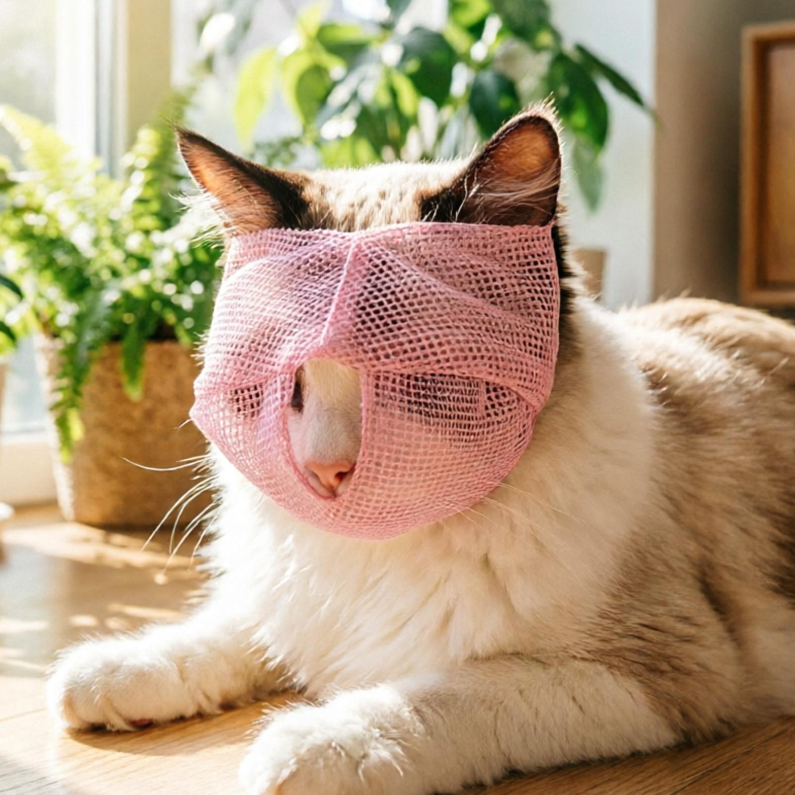 猫用マズル 通気性メッシュ 調節可能 猫の噛みつき防止マズル - Pet Supplies Vet のレビューと価格