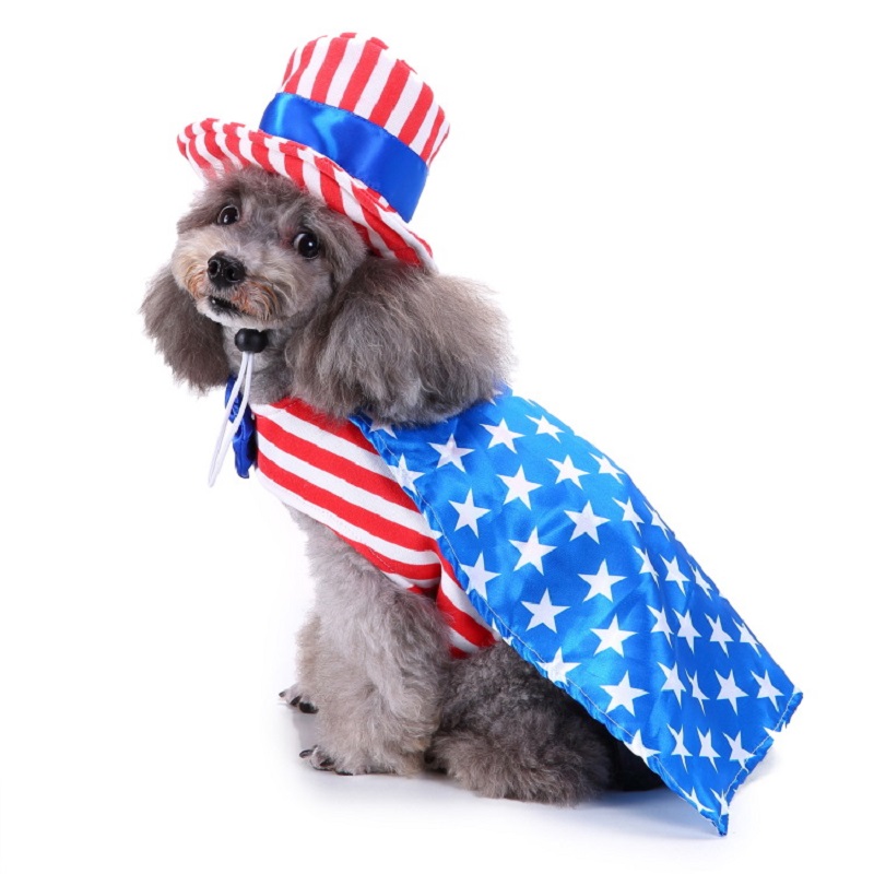 犬のハロウィンコスチューム,アメリカ国旗,ケーキ,ピザ,寿司 - Pet Supplies And More のレビューと価格