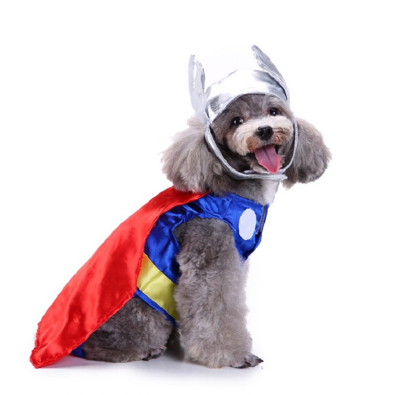 犬のハロウィンコスチューム,アメリカ国旗,ケーキ,ピザ,寿司 - Pet Supplies And More のレビューと価格