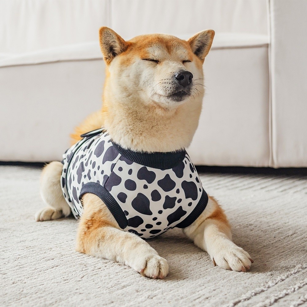ユニバーサル通気性犬用回復スーツ 暖かく快適なフィット感 犬 - Dog Anxiety Vest のレビューと価格