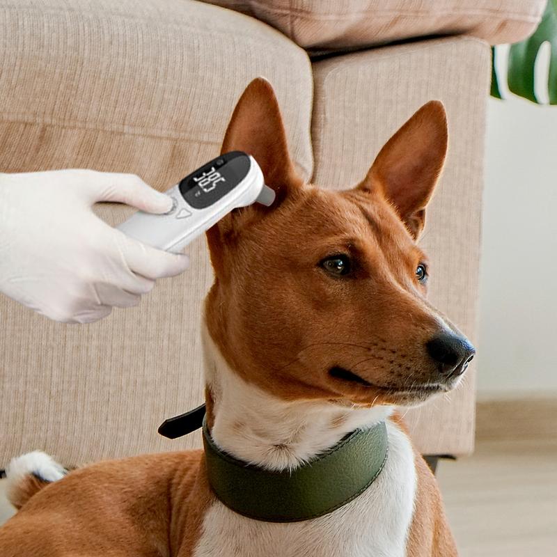 ペット用の正確な発熱検出装置、犬用の体温計、ベルベット技術、 - Pet Supplies Vet のレビューと価格