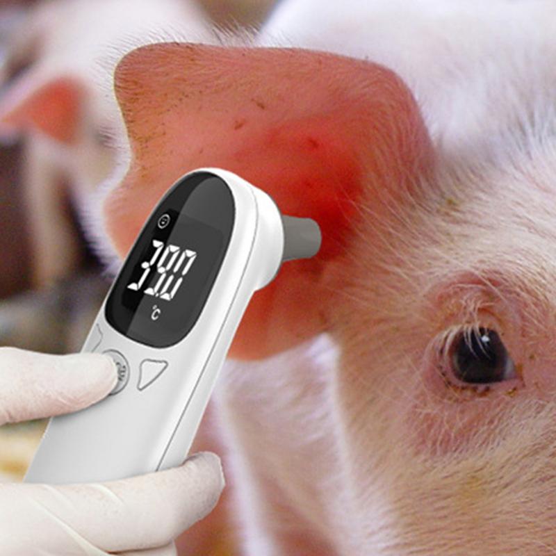 ペット用の正確な発熱検出装置、犬用の体温計、ベルベット技術、 - Pet Supplies Vet のレビューと価格