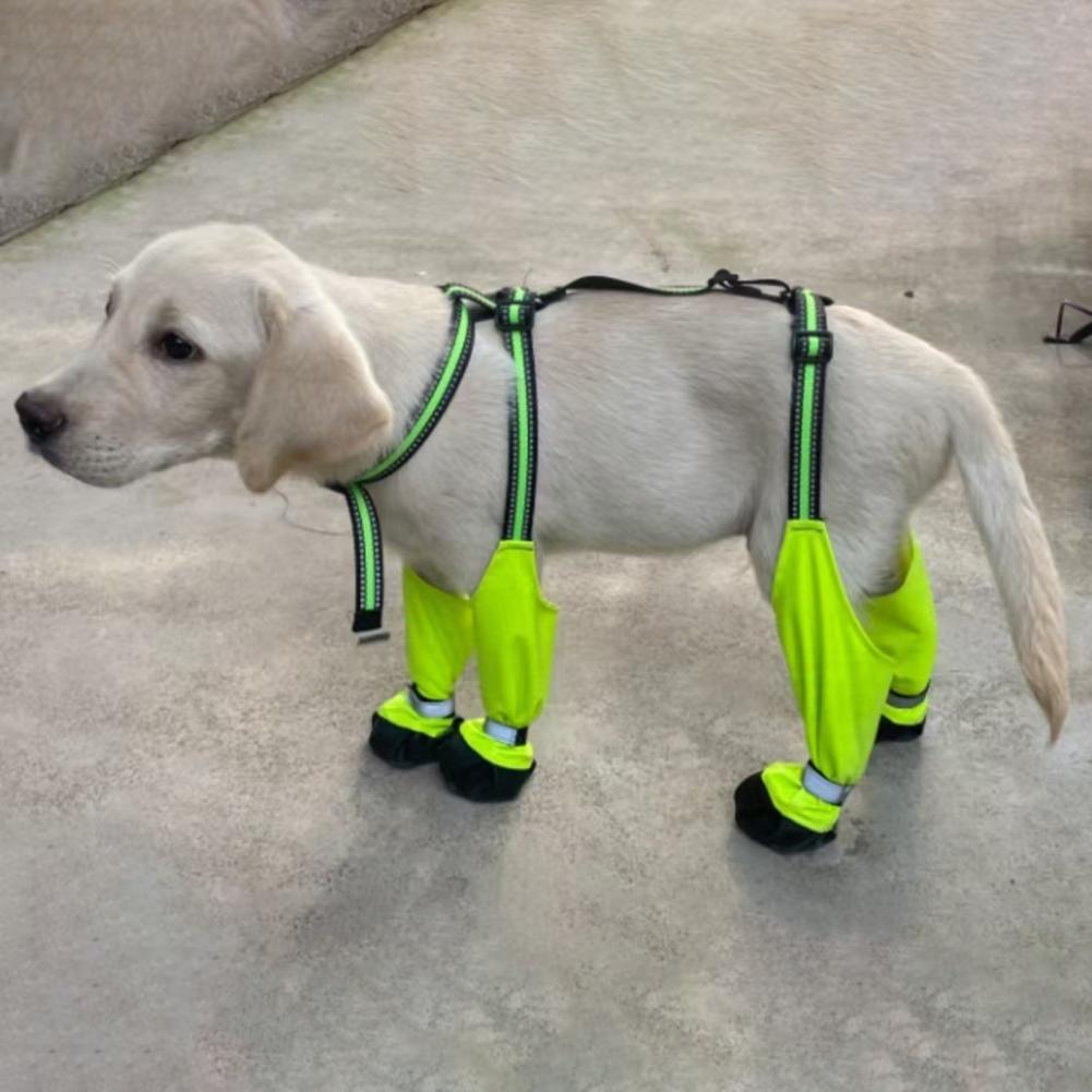 犬用サスペンダーブーツ、滑り止め犬用足保護防水ブーツレギンス - Dog Booties Paw Protector のレビューと価格