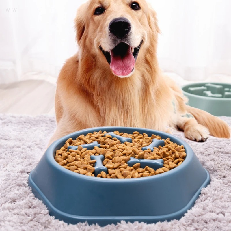 ペット用スローフードボウル、窒息防止フィーダー、PPプラスチ - Slow Feeder Dog Bowl のレビューと価格