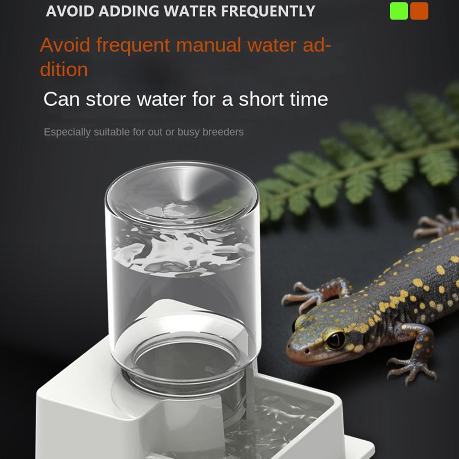 ヒゲトカゲ用自動給水器、テラリウム用ウォーターディッシュ、カ - Pet Water Fountain のレビューと価格