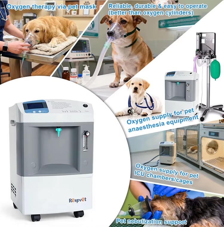 獣医用酸素供給装置 小型獣医救急クリニック用酸素マシン 5l - Pet Supplies Vet のレビューと価格