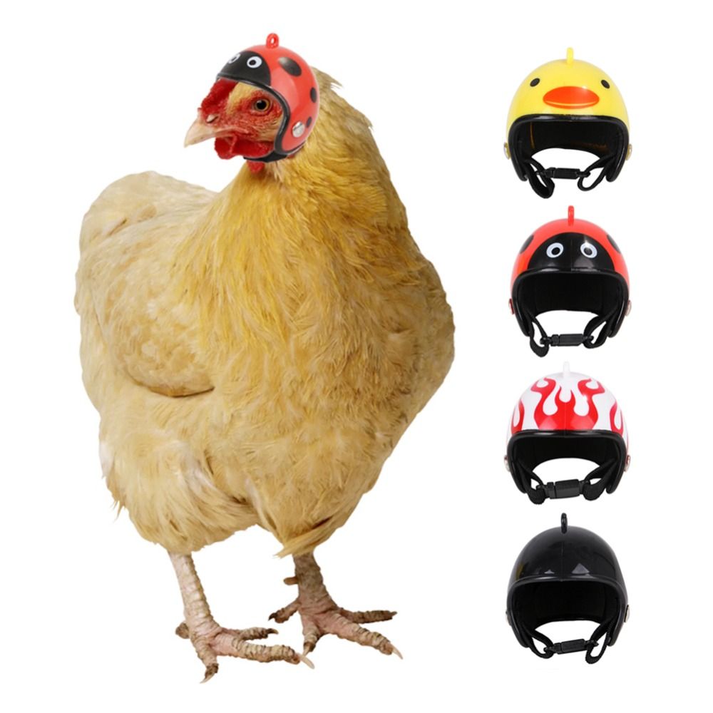 ABSペット用品 面白いペット用保護ヘッドギア 鳥用保護キャ - Pet X Supplies & Tack Photos のレビューと価格