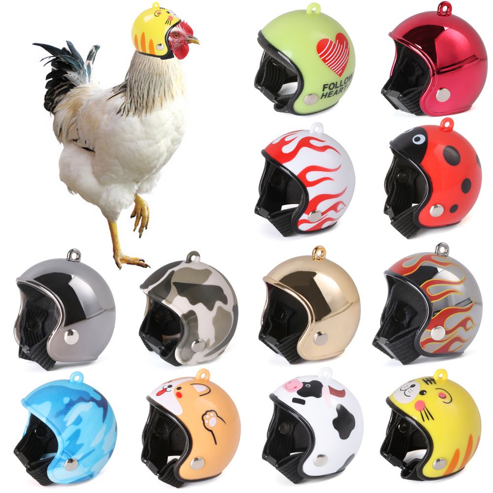 ABSペット用品 面白いペット用保護ヘッドギア 鳥用保護キャ - Pet X Supplies & Tack Photos のレビューと価格
