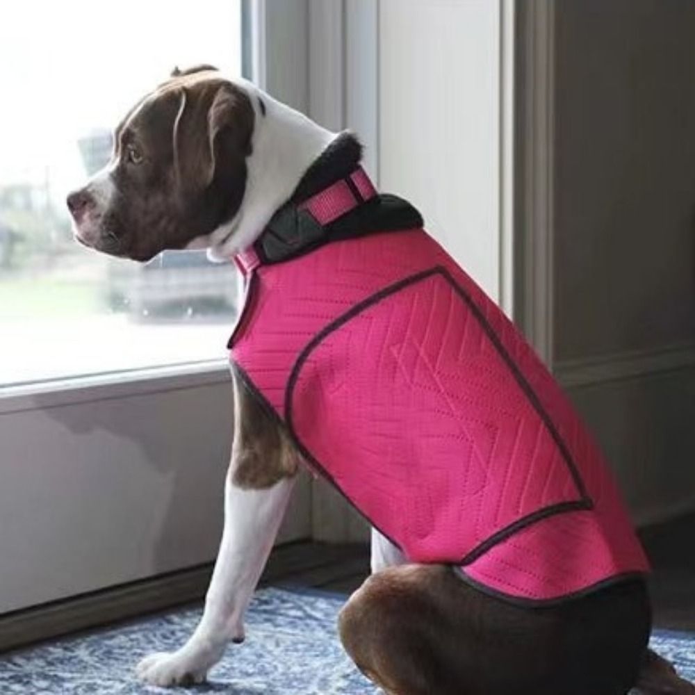 実用的な弾性犬用不安解消ジャケット反射性通気性犬用サンダーベ - Dog Anxiety Vest のレビューと価格