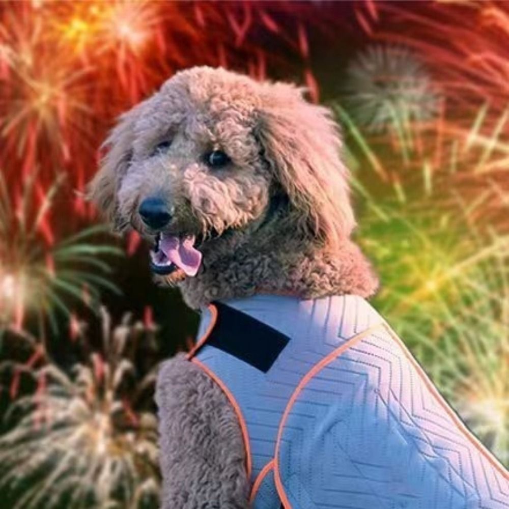 実用的な弾性犬用不安解消ジャケット反射性通気性犬用サンダーベ - Dog Anxiety Vest のレビューと価格
