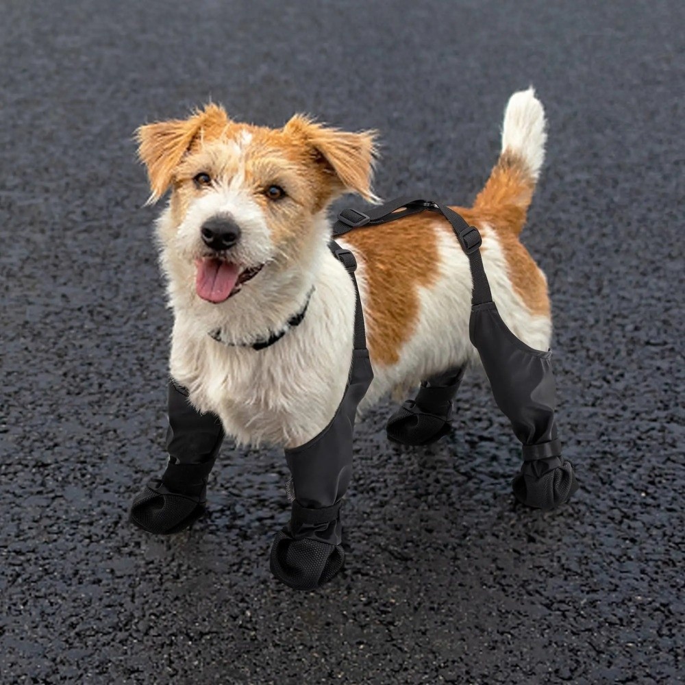 落下防止防水犬用シューズ滑り止め調節可能な犬用レインブーツ汚 - Dog Booties Paw Protector のレビューと価格