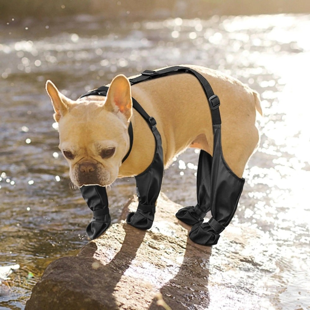 落下防止防水犬用シューズ滑り止め調節可能な犬用レインブーツ汚 - Dog Booties Paw Protector のレビューと価格