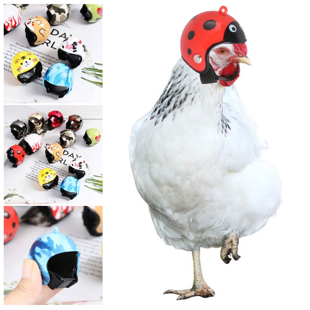 ABS製面白いペット用品ペット用保護ヘッドギア鳥用保護キャッ - Pet X Supplies & Tack Photos のレビューと価格