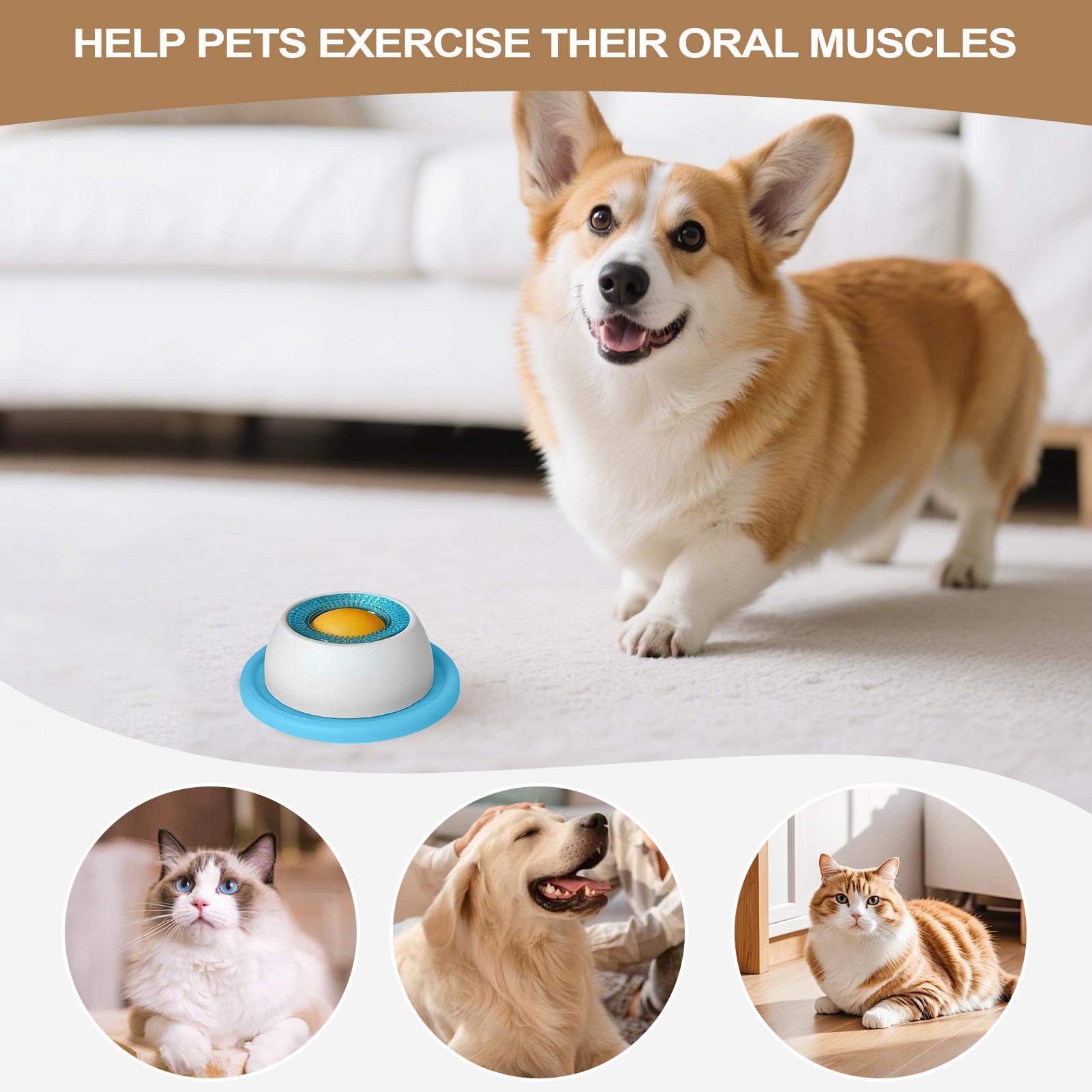 犬のおやつおもちゃペット給餌アクセサリーパズルおもちゃ退屈し - Slow Feeder Dog Bowl のレビューと価格