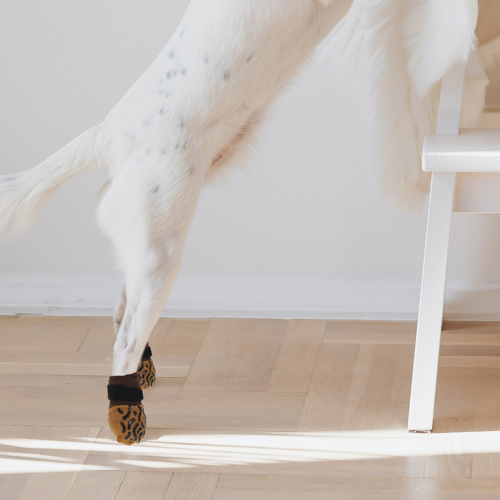 4 個の犬用靴下 滑り止め足保護具 硬質木床用 屋内屋外用  - Dog Booties Paw Protector のレビューと価格